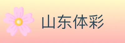 山东体彩 logo